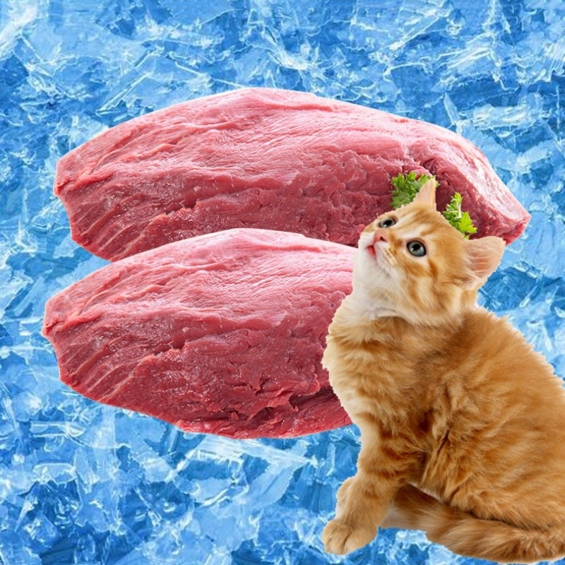 Freeze-Dried Food Factory - OEM/ODM Freeze-Dried Chicken Cubes Multiple Flavors Beef High Protein