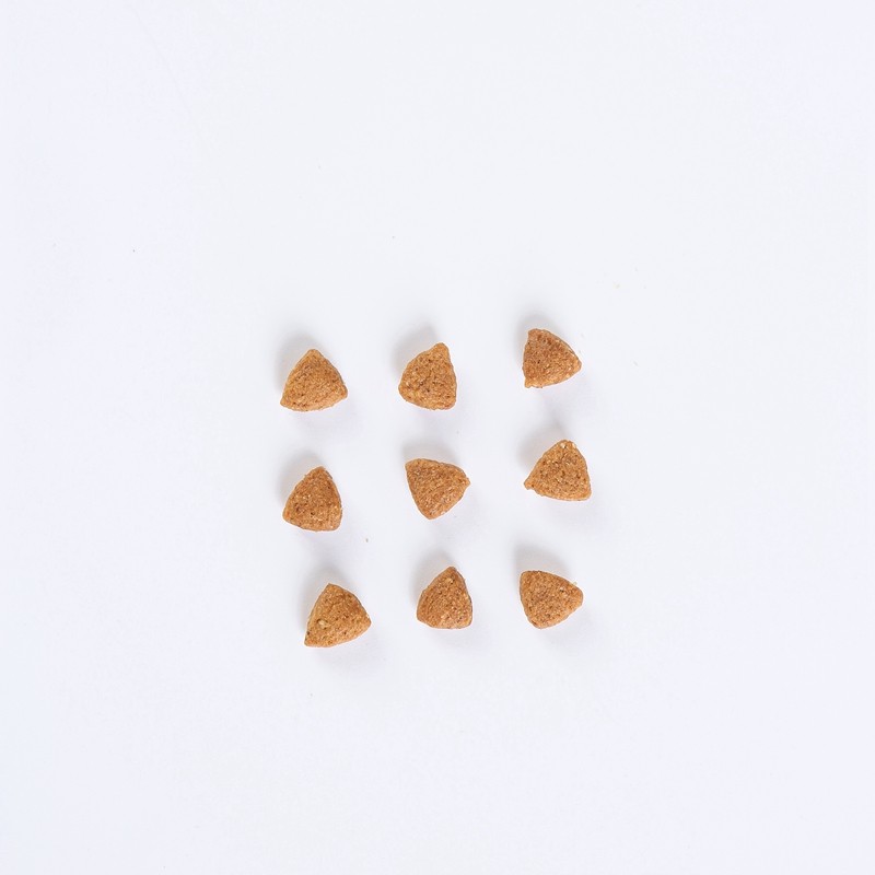Dry Dog Food Manufacturer - OEM ODM Factory Exports Custom Flavors Shapes 5%-20% Fat