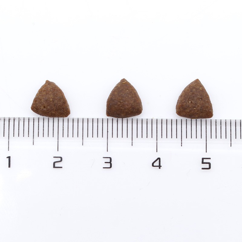 Pet Food Manufacturer - GIBO Brand Series Factory Directly Wholesale Kitten Food 12LB