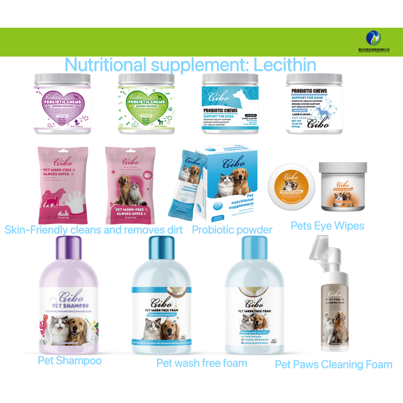 Probiotics Powder Factory - Factory Private Label Probiotics Prebiotics Powder Dogs