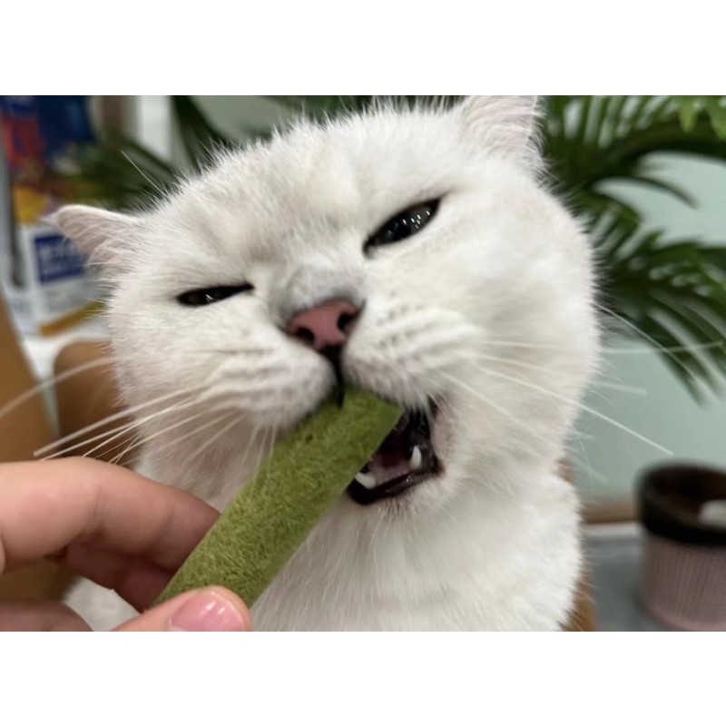 Freeze-Dried Food Manufacturer - OEM&ODM Natural Freeze-Dried Raw Fresh Chicken Cat Grass