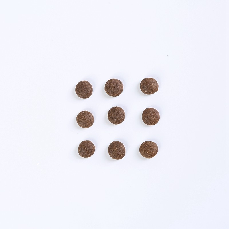 Cat Dry Food Factory - OEM Cheapest Factory Exports High Protein Raw Customized Flavors