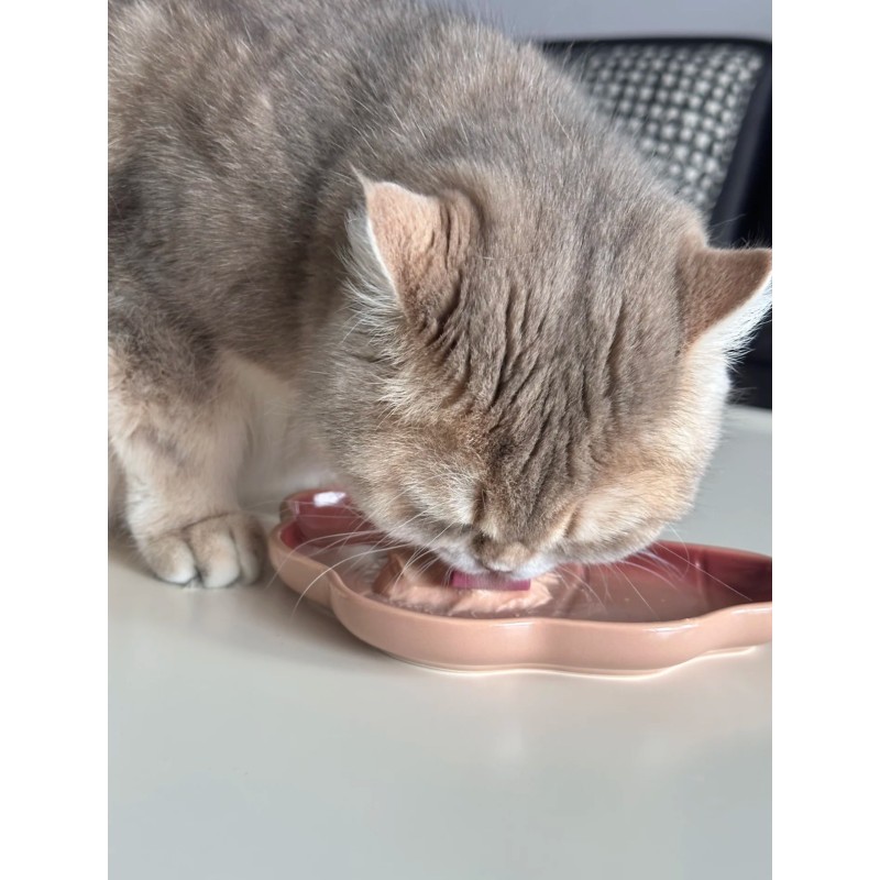 Pet Wet Food Supplier - OEM Factory High Quality 85g Pouch Full English Pack Cats