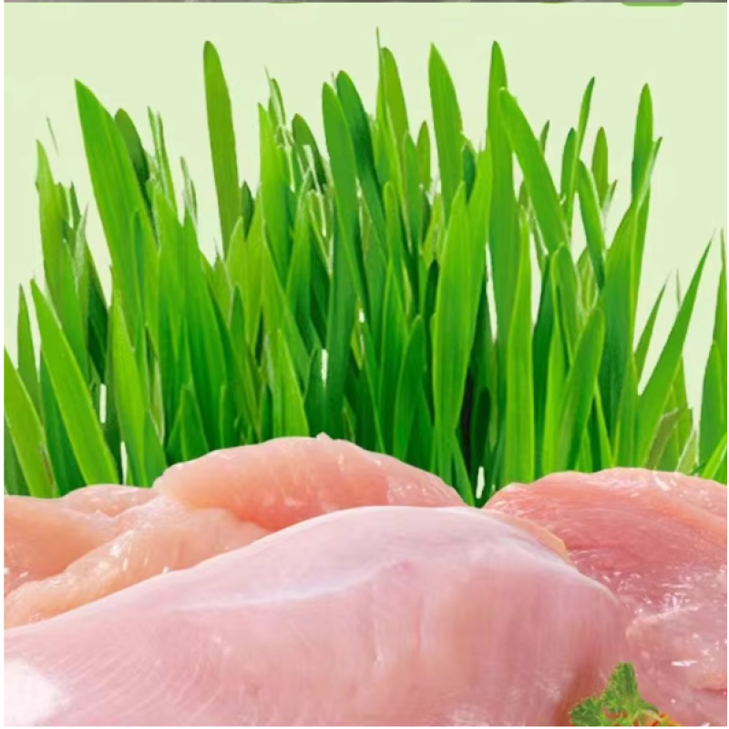 Pet Treats Factory - ODM/OEM High Protein Healthy Freeze Dried Cat Snacks Cat Grass