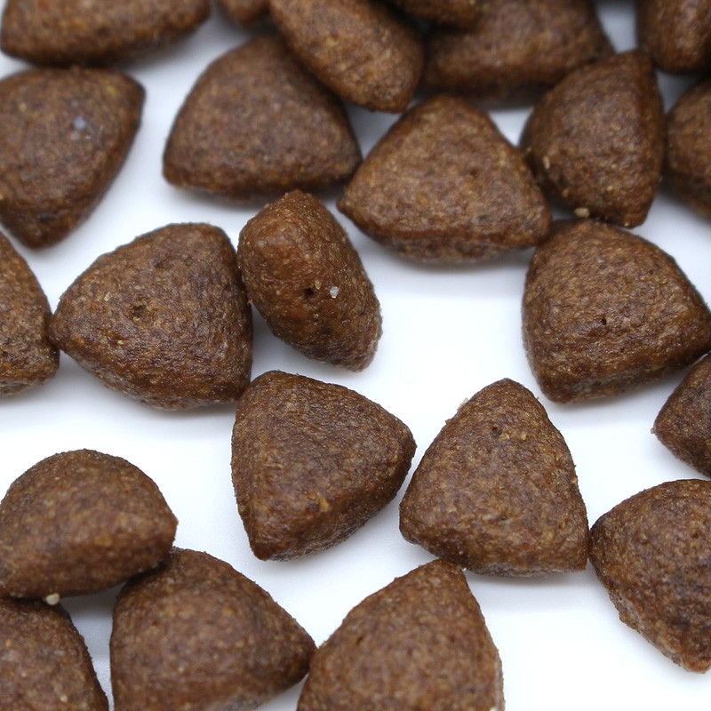 Pet Food Manufacturer - GIBO Brand Series Factory Directly Wholesale Kitten Food 12LB