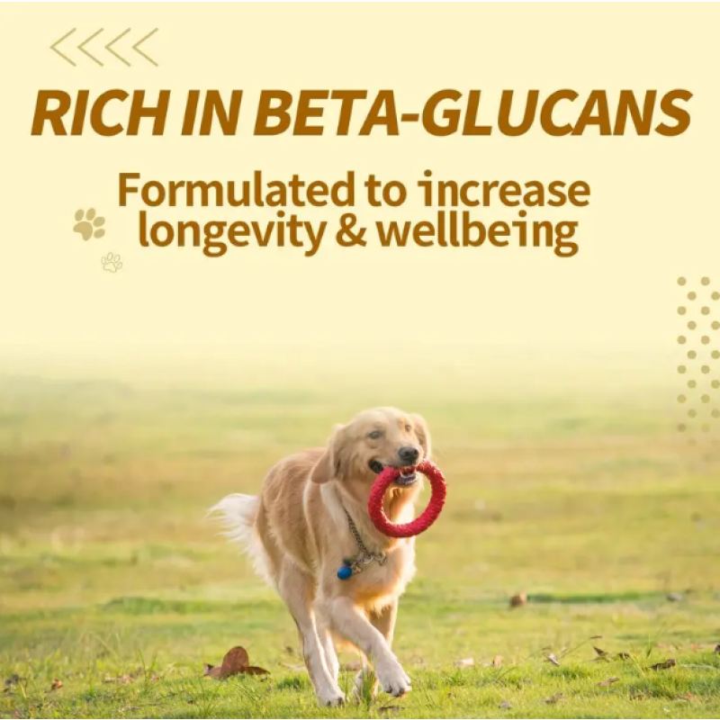 Pet Supplements Factory - Factory-Batch Pet Health Care Vitamin Multivitamin Nutrition Paste