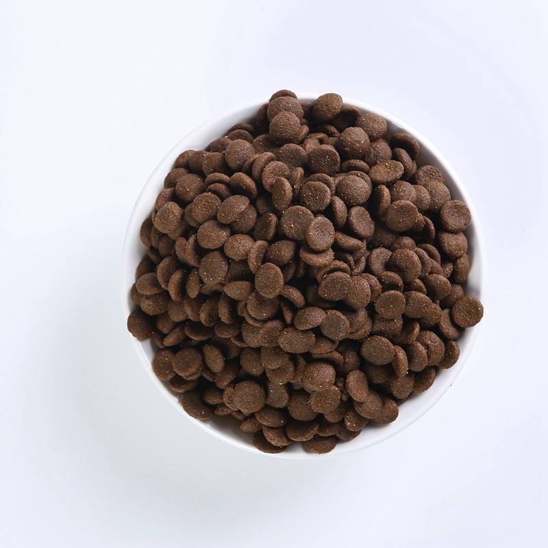 Cat Dry Food Factory - OEM Cheapest Factory Exports High Protein Raw Customized Flavors