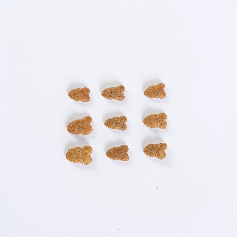 Cat Dry Food Supplier - Free Samples Competitive Price High Protein Low Fat All Age