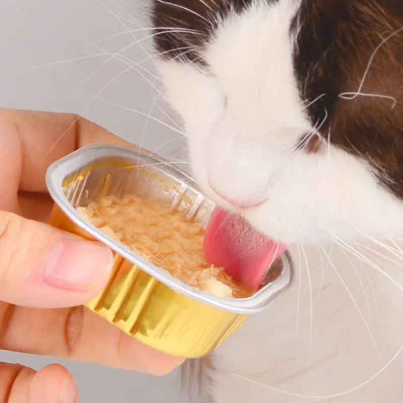 Cat Dog Snacks Factory - OEM Custom Wet Canned Snack Treats 100g Meat Broth Pet Food