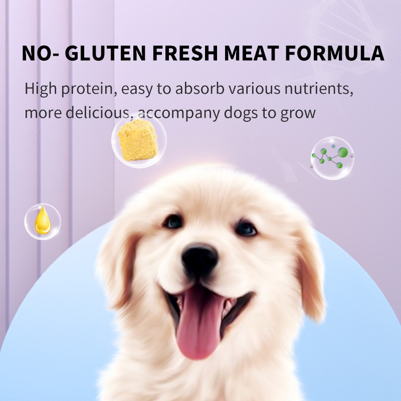Puppy Food Factory - Rich Nutrition Dry Food for Puppies Healthy Pet Food