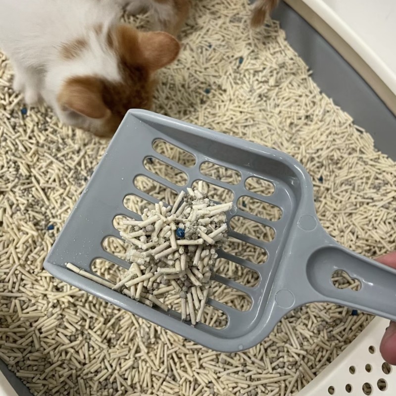 Cat Litter Supplier - Wholesale 6L Safe Eco-Friendly Dust-Free Harmless Good Quality