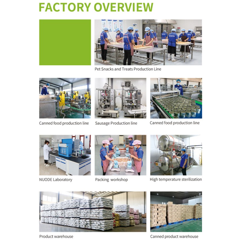 Catnip Candy Factory - MIDADA Best Selling Catnip Candy Treats Factory Direct Wholesale