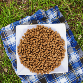Pet Food Supplier - OEM ODM Chinese Low Price Various Flavors 18%-32% Protein