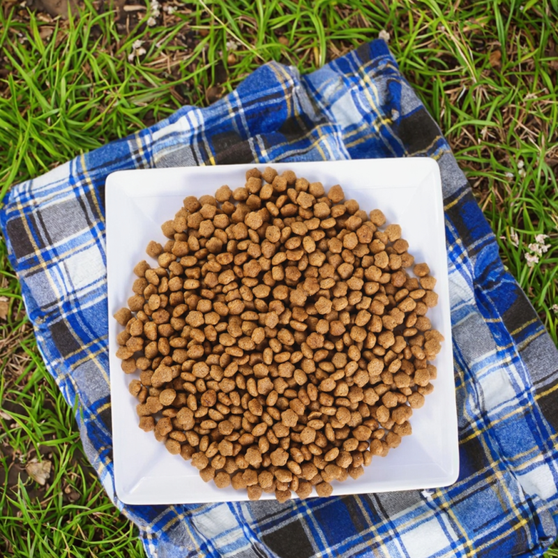 Pet Food Supplier - OEM ODM Chinese Low Price Various Flavors 18%-32% Protein