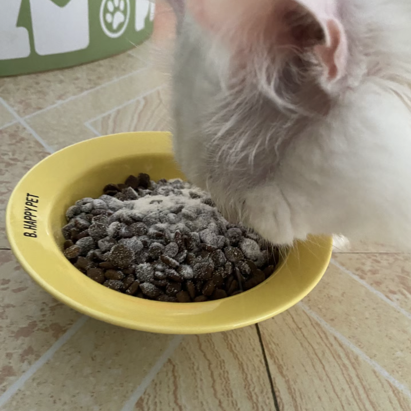 Dental Powder Manufacturer - Dental Powder Dog Tooth Cleaning Plaque Bad Breath Formulated