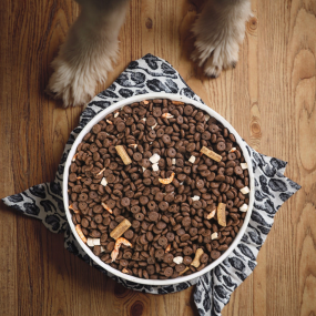 Dry Dog Food Factory - Hot Sale OEM/ODM Bulk Pet Food Customizable Dry Dog Food