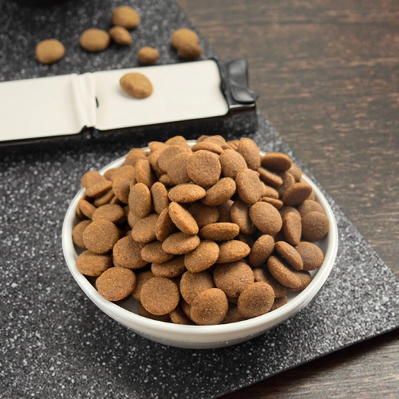 Dry Dog Food Manufacturer - GIBO Premium Endurance Wholesale High Protein Grain-free