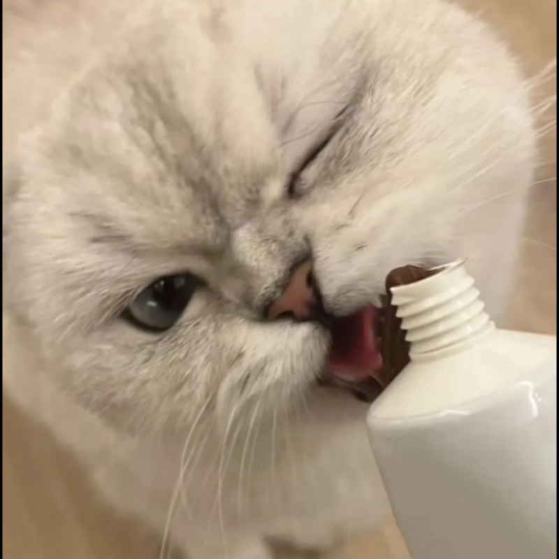 Pet Supplements Factory - Factory-Batch Pet Health Care Vitamin Multivitamin Nutrition Paste