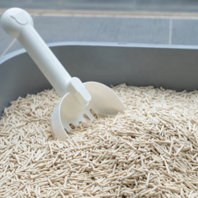 Cat Litter Factory - 2025 BSCI Factory Wholesale Custom Natural Plant Odour Control