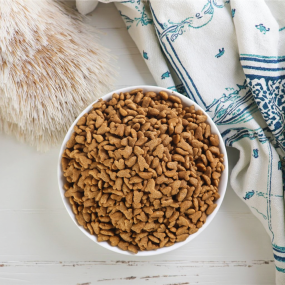 Dry Dog Food Manufacturer - Factory Hot Sale OEM/ODM Bulk Pet Food Customizable