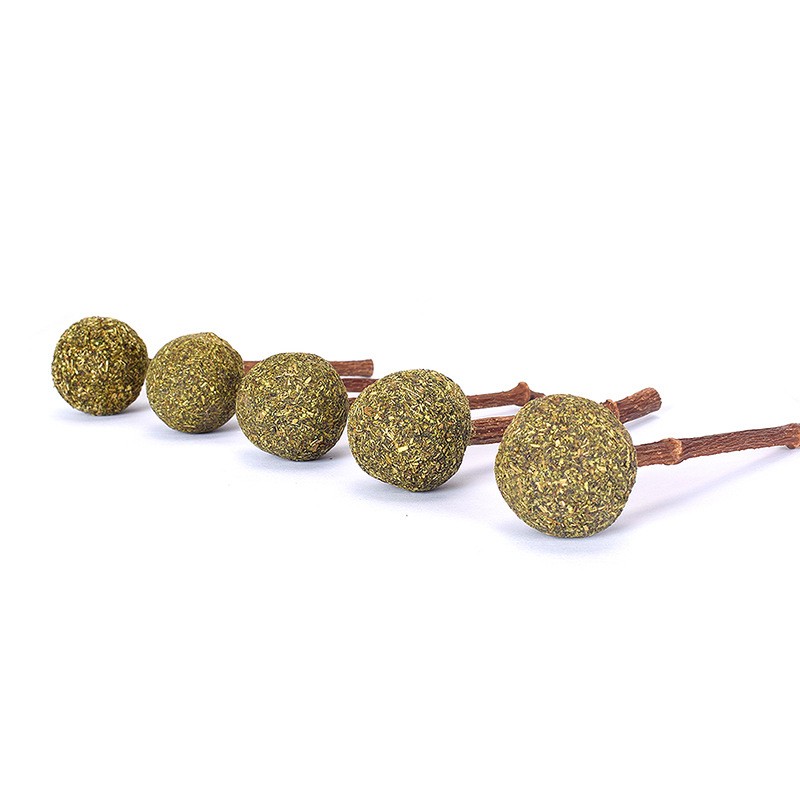 Catnip Toys Manufacturer - Hot Selling High Quality Meat Material Catnip Balls Lollipop