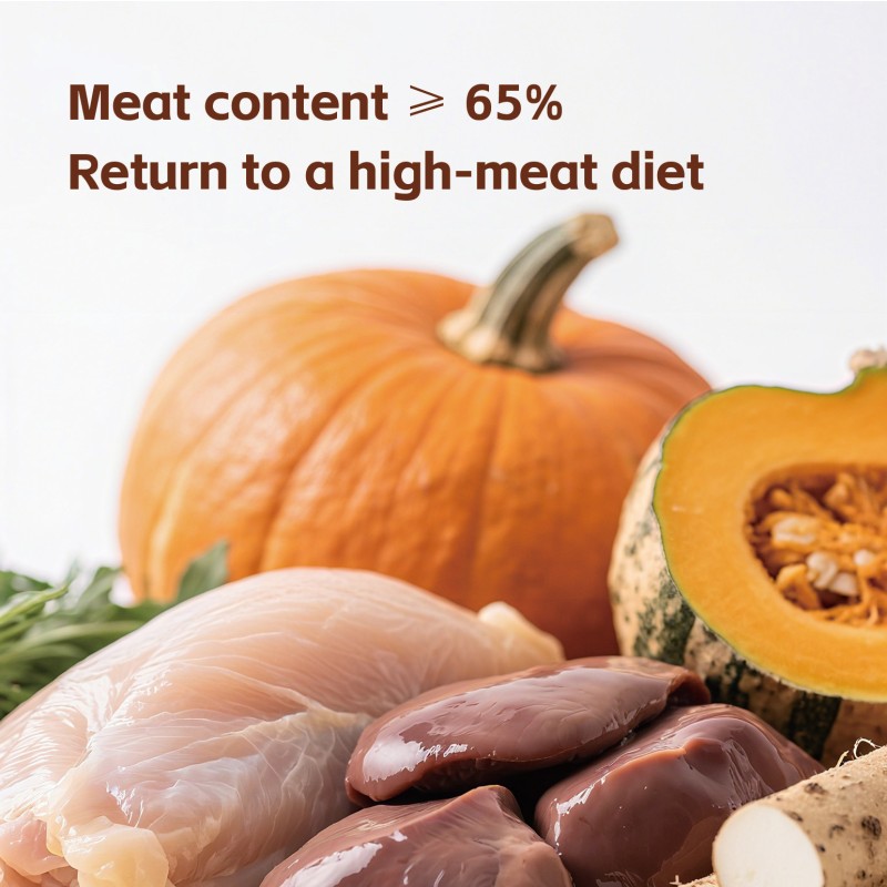 Cat Food Manufacturer - OEM ODM Complete Food Skin Support