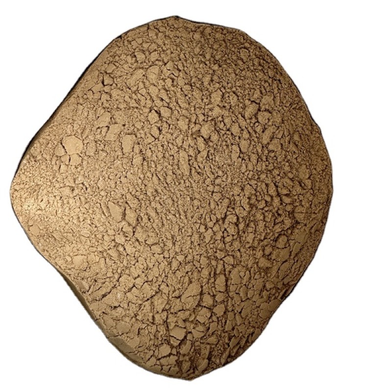 Organic Fertilizer Supplier - Bacillus Megaterium Increase Soil Bacterial Fungal