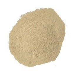 Racing Pigeon Supplies Supplier - Probiotics Powder Enhance Immunity Intestinal Health