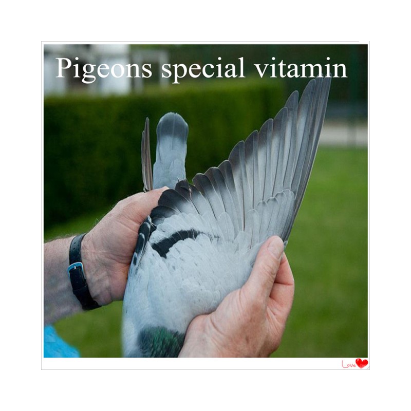 Pigeon Supplements Manufacturer - Health Care Multivitamins Enhance Immunity Performance