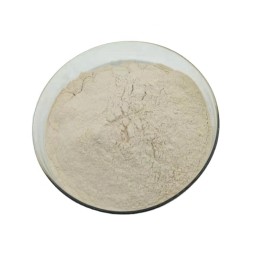 Veterinary Probiotics Manufacturer - Bacillus Licheniformis Powder Egg Chicken Poultry