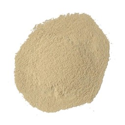 Veterinary Probiotics Factory - Probiotics Powder for Racing Pigeons Immunity Enhancing