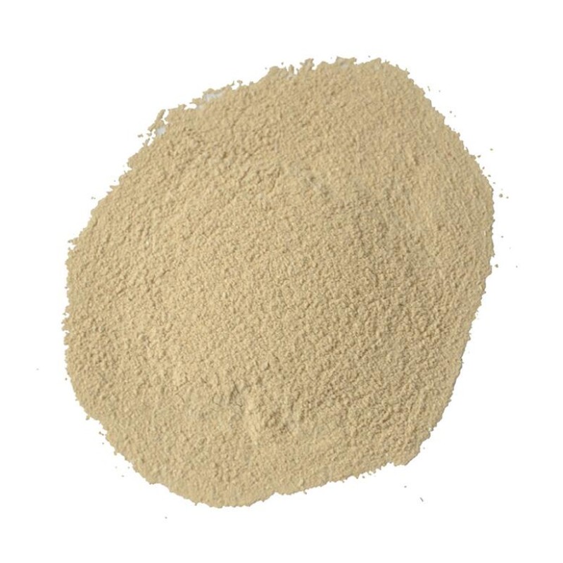 Veterinary Probiotics Factory - Probiotics Powder for Racing Pigeons Immunity Enhancing