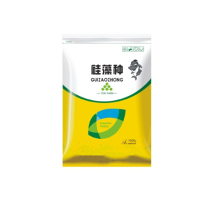 Feed Additives Manufacturer - High Quality Amino Acids Natural Plant Extract Diatom Seed