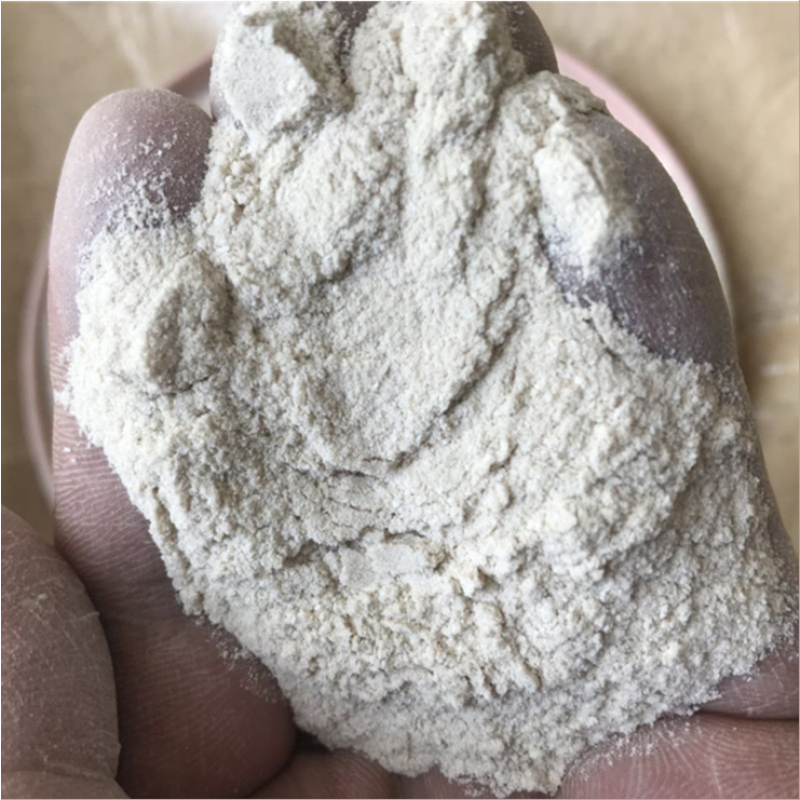 Probiotics Powder Supplier - Lactobacillus Acidophilus Powder Chicken Fish Pig Cattle