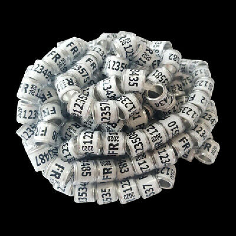 Canary Rings Supplier - China Supplier Yorkshire Canary Birds Finch Pigeon Leg Rings