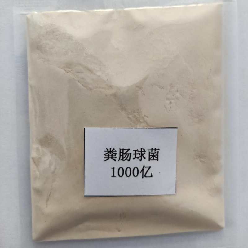 Animal Probiotics Factory - Enterococcus Faecalis Powder Poultry Cattle Sheep Fish Shrimp