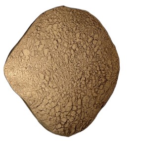 Agricultural Fertilizer Factory - High Quality Bacillus Megaterium Powder Plant Resistance