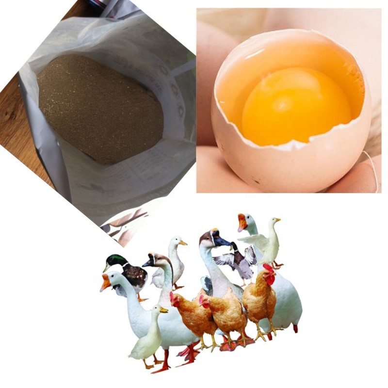 Poultry Additives Supplier - Pure Herbal Egg Booster Layers Chicken Increase Production