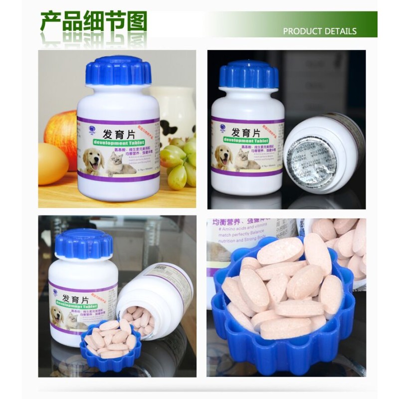 Pet Multivitamin Supplier - Chick Flavor Chewable Tablet Enhancing Immunity Nutrition Snack