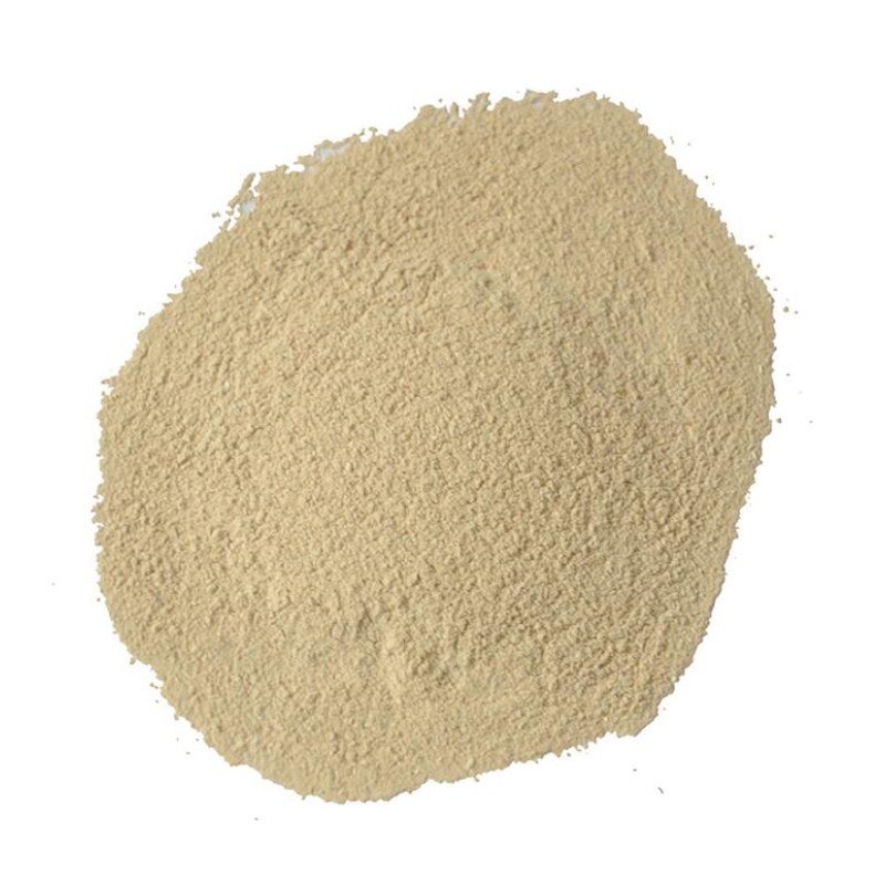 Bird Probiotics Manufacturer - Racing Pigeon Supplies Bacillus Subtilis Plantarum Powder