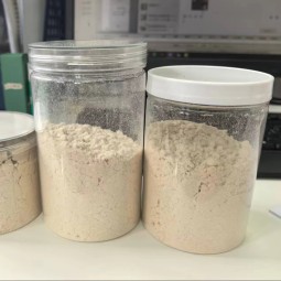 Chicken Powder Manufacturer - Perfect Quality Freeze Dried