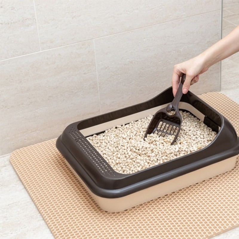 Pet Toilet Manufacturer - Comprehensive Cleaning Plastic Box