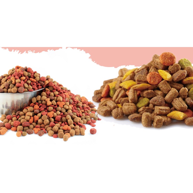 Dry Cat Food Manufacturer - Wholesale Bulk Full Nutrition
