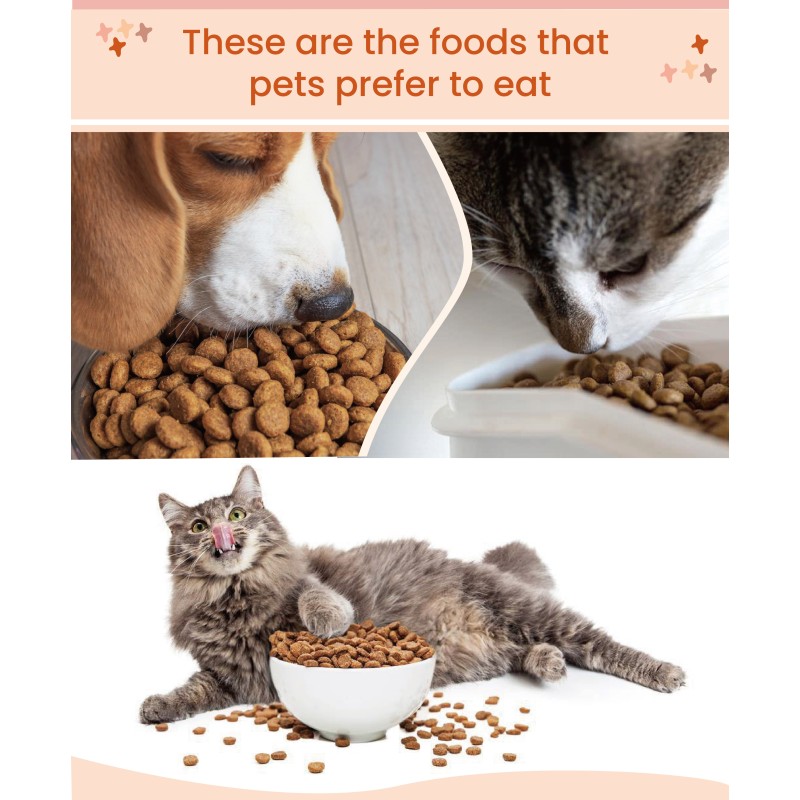 Dry Pet Food Manufacturer - OEM ODM 18% Protein Various Flavors