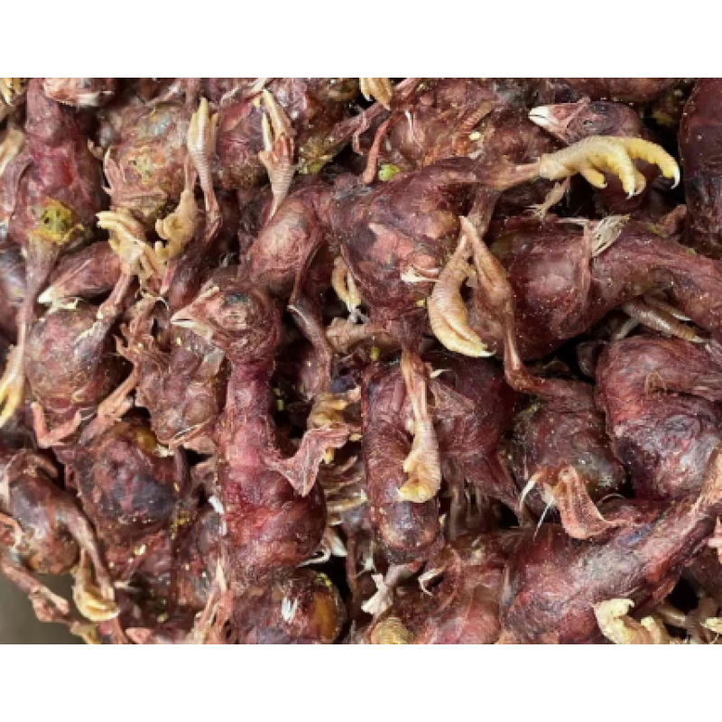 Freeze-Dried Pet Food Factory - OEM Custom Chicken Duck