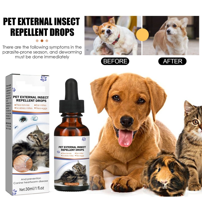 Pet Insect Repellent Factory - Insect Repellent Drops Popular Cross-Border Factory Wholesale