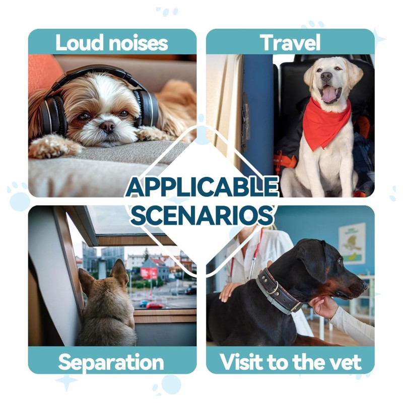 Pet Melatonin Drops Supplier - Foreign Trade Supply Specific Melatonin Drops for Pets