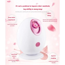 Personal Care Steamer Factory - Hot Selling Model 90ML 300W Adjustable Nozzle