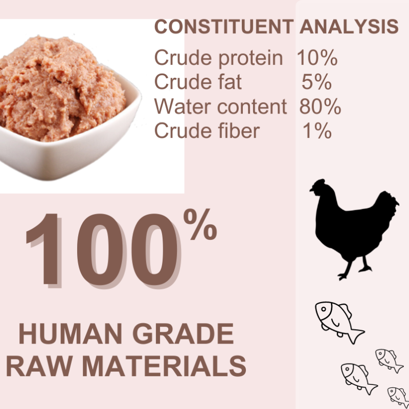 Wet Cat Food Manufacturer - High Protein Grain-Free 400g OEM