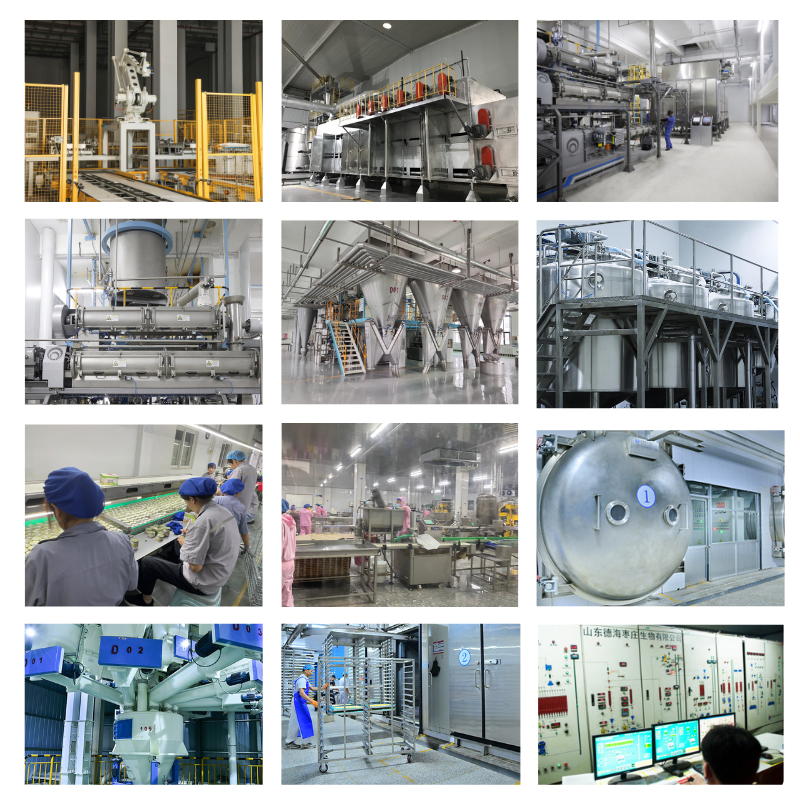 Wet Cat Food Manufacturer - High Protein Tuna Chicken 400g OEM